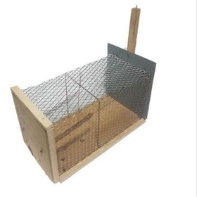 تله گربه گیر چوبی ۴ فنره (زنده‌گیر)